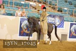 15YN_17045 thumbnail