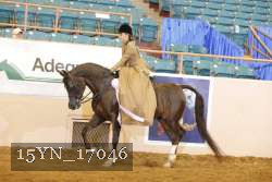 15YN_17046 thumbnail