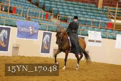 15YN_17048 thumbnail