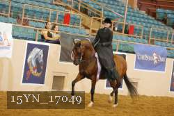 15YN_17049 thumbnail