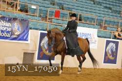 15YN_17050 thumbnail