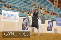 15YN_17053 thumbnail