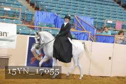 15YN_17055 thumbnail