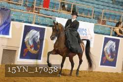 15YN_17058 thumbnail