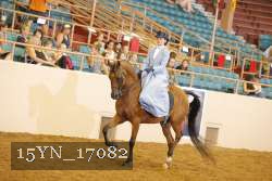 15YN_17082 thumbnail