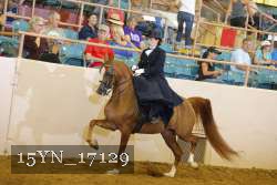 15YN_17129 thumbnail