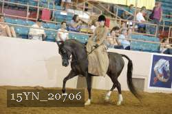15YN_20706 thumbnail