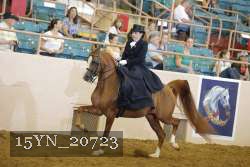 15YN_20723 thumbnail