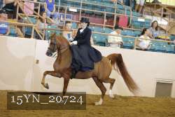 15YN_20724 thumbnail