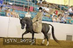 15YN_20725 thumbnail