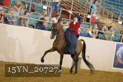 15YN_20727 thumbnail