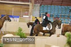 15YN_20780 thumbnail