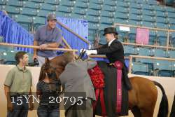 15YN_20795 thumbnail