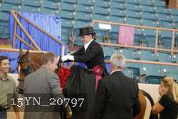 15YN_20797 thumbnail