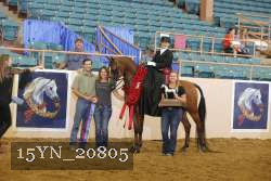 15YN_20805 thumbnail