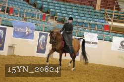 15YN_20824 thumbnail