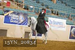 15YN_20834 thumbnail
