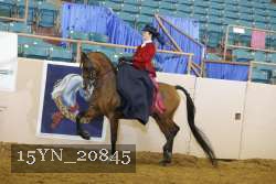 15YN_20845 thumbnail