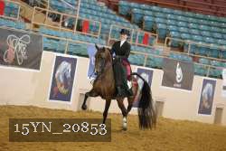 15YN_20853 thumbnail