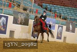 15YN_20982 thumbnail
