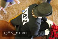 15YN_21001 thumbnail