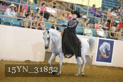 15YN_31852 thumbnail