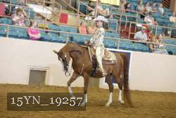 15YN_19257 thumbnail