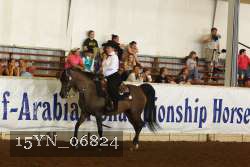 15YN_06824 thumbnail
