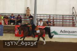 15YN_09251 thumbnail