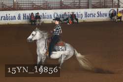 15YN_19856 thumbnail