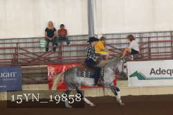 15YN_19858 thumbnail