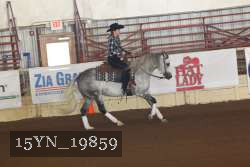 15YN_19859 thumbnail