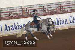 15YN_19860 thumbnail