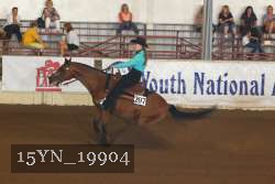 15YN_19904 thumbnail