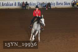 15YN_19936 thumbnail