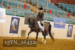 15YN_16432 thumbnail