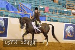 15YN_16434 thumbnail