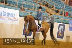 15YN_16437 thumbnail