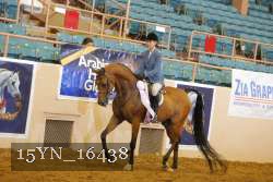 15YN_16438 thumbnail