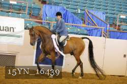 15YN_16439 thumbnail