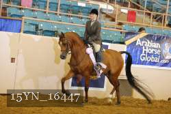 15YN_16447 thumbnail