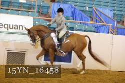 15YN_16458 thumbnail