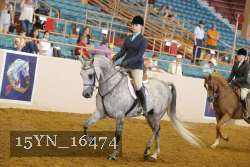 15YN_16474 thumbnail