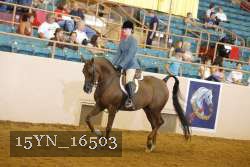 15YN_16503 thumbnail