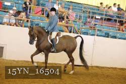 15YN_16504 thumbnail