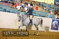 15YN_16505 thumbnail