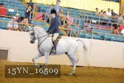 15YN_16509 thumbnail