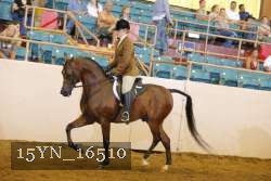 15YN_16510 thumbnail