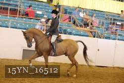 15YN_16512 thumbnail