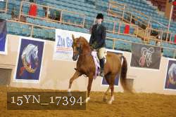 15YN_17394 thumbnail